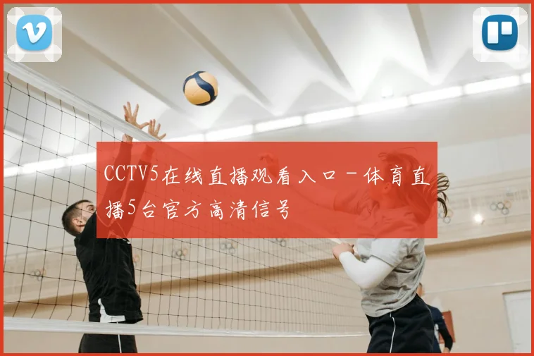 CCTV5在线直播观看入口 - 体育直播5台官方高清信号