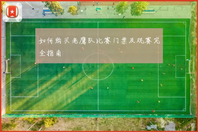 如何购买老鹰队比赛门票及观赛完全指南