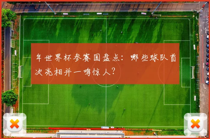 年世界杯参赛国盘点：哪些球队首次亮相并一鸣惊人？