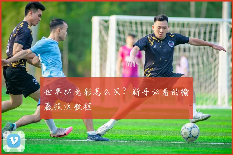 世界杯竞彩怎么买？新手必看的输赢投注教程